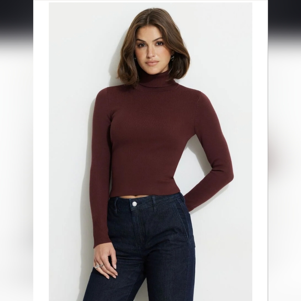 Dynamite Maroon Turtleneck Sweater